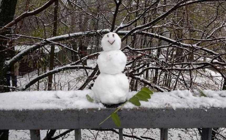 Киевляне делятся впечатлениями об утреннем снегопаде (фото, видео)