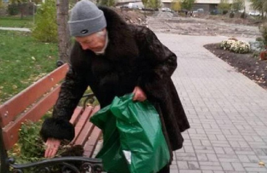 "Мне все равно": на Березняках старушка разорила клумбу 