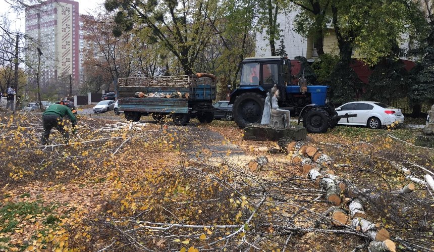«Угрожают бензопилами»: в Парке трипольской культуры уничтожают деревья