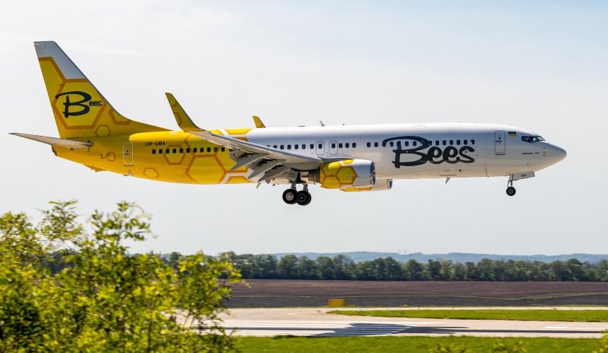 Bees Airlines объявила распродажу: скидки на билеты до 50%