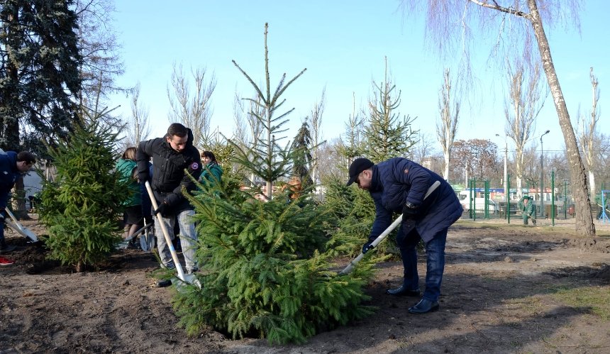 В парке «Привокзальний» демонтировали МАФы и высадили деревья
