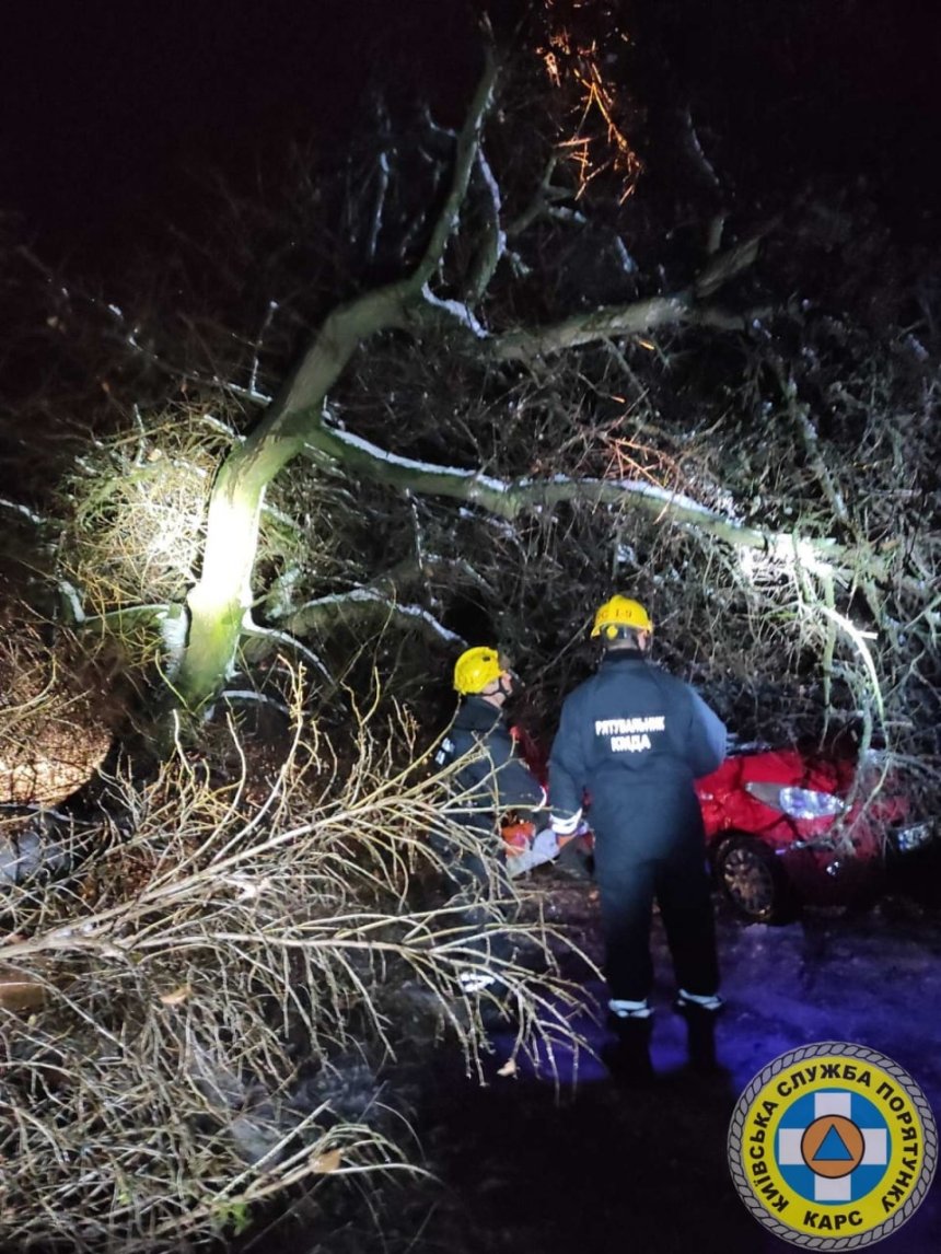Через негоду у Києві зламано 120 дерев