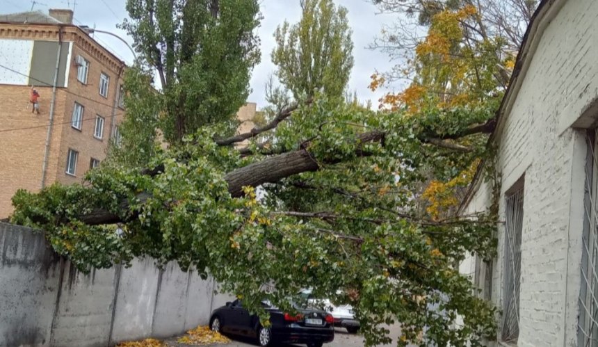 Негода у Києві призвела до підтоплення та падіння дерев 