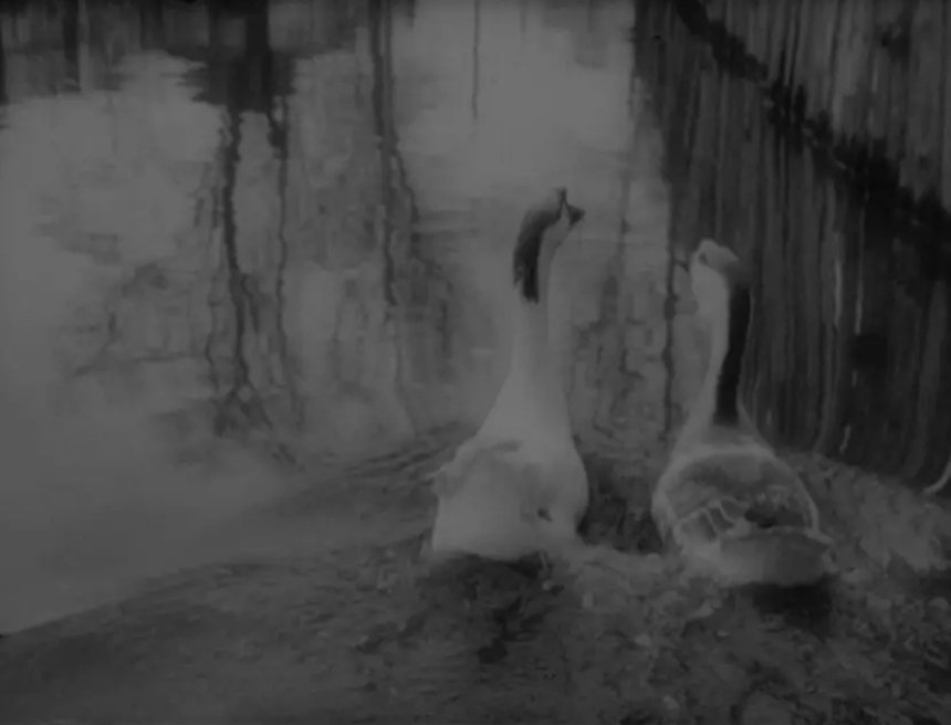 9 листопада в рамках паралельної програми до виставки "Ріка кричала, вила, як поранений звір" у Довженко-Центрі покажуть стрічку Михаїла Кауфмана "Навесні" (1929)