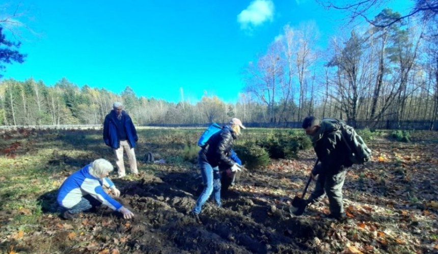 У Межигірському лісництві створили розсадник "Дуби Перемоги": фото