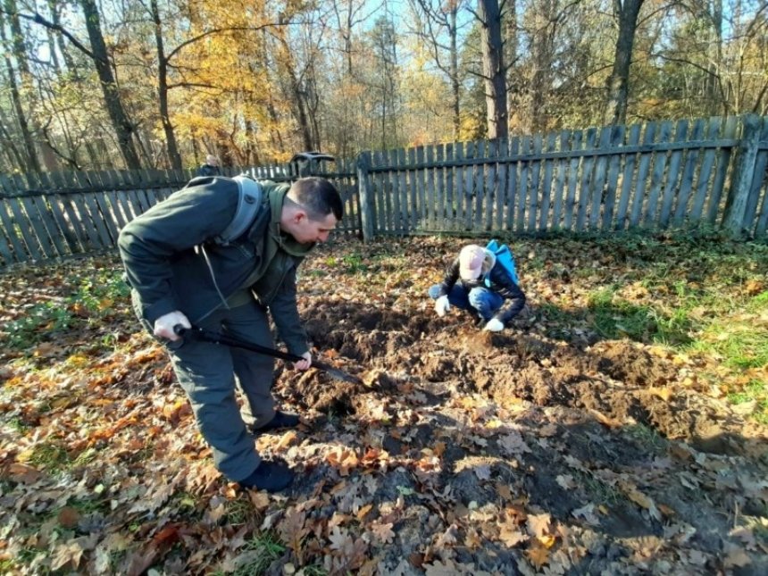 У Межигірському лісництві створили розсадник "Дуби Перемоги"