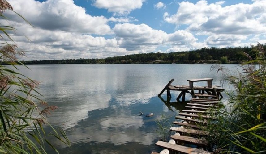 В озері на Троєщині зафіксували масову загибель риби. КП "Плесо" встановлює причини 