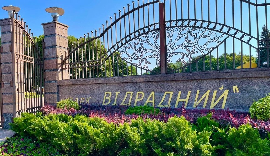 У парку “Відрадний” вкрали кущі хризантем та гортензій: подробиці події