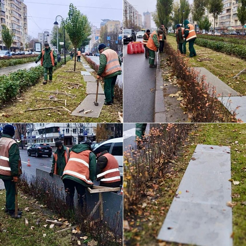 Рослини на бульварі Лесі Українки у Києві захистили від антиожеледних сумішей: фото