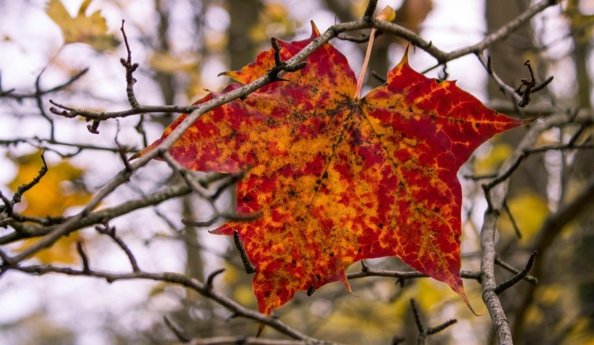 Тепло до +15°C та майже без опадів: якою буде погода у Києві наступного тижня
