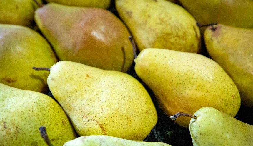 Де у Києві проходитимуть продуктові ярмарки з 4 по 9 листопада: локації