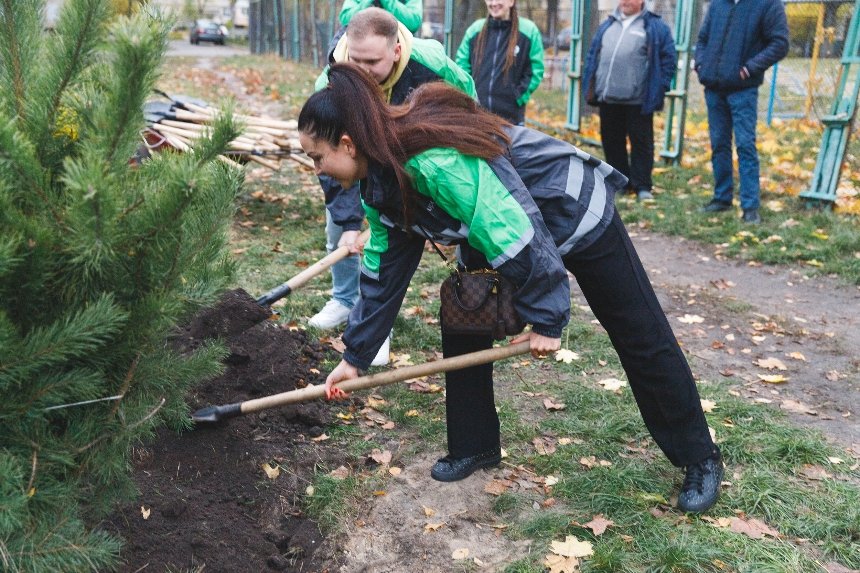 На Лісовому масиві провели толоку На Лісовому масиві провели толоку