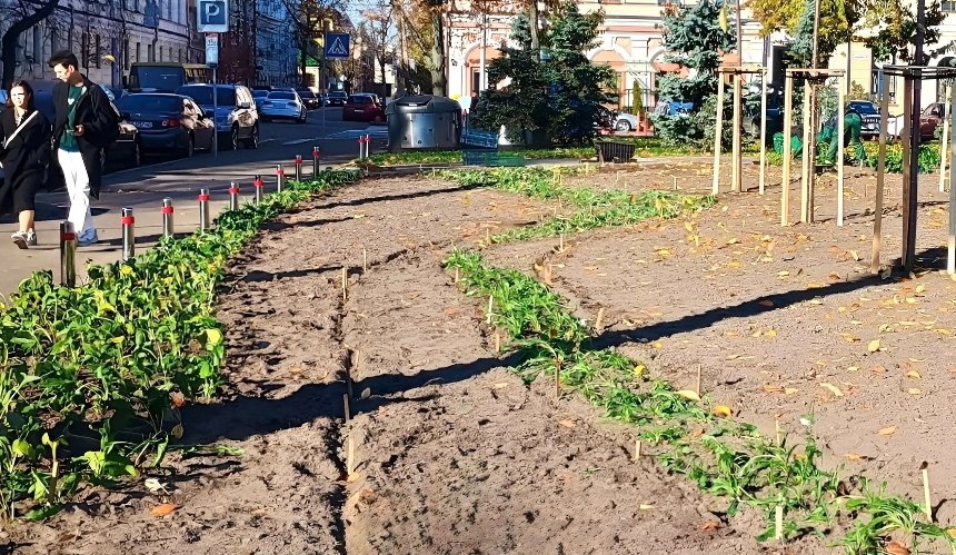 На Контрактовій площі з'явилися багаторічні та злакові трави: фото