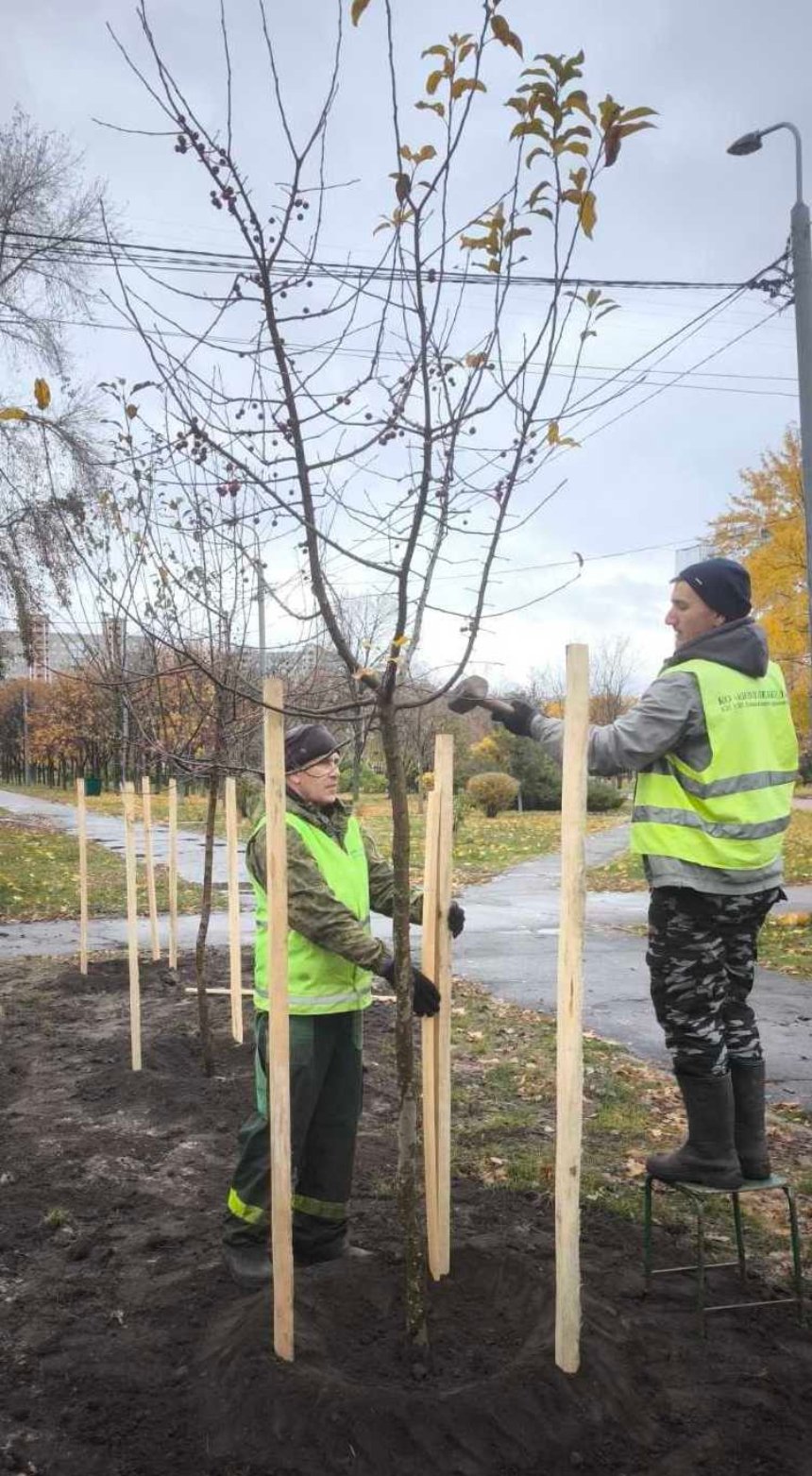 У парку "Деснянський" провели осіннє озеленення