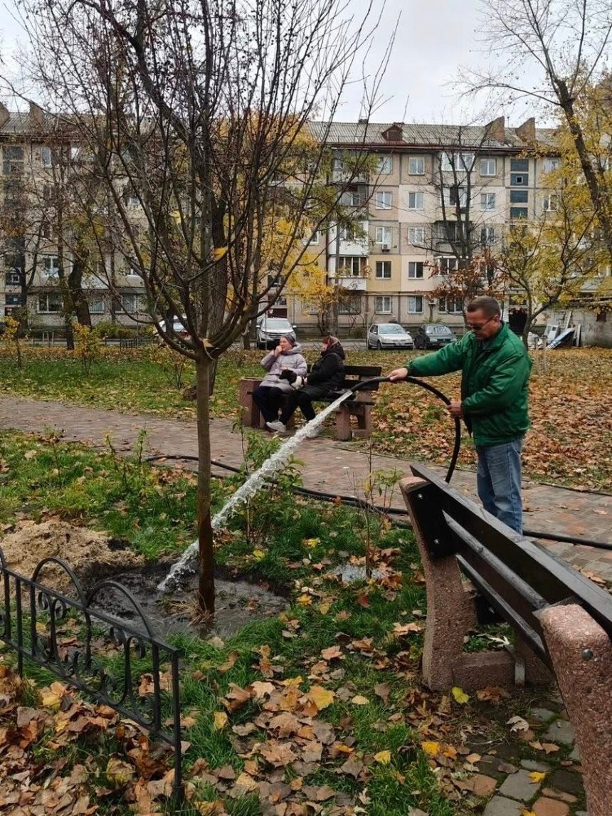 Київ продовжує осіннє озеленення