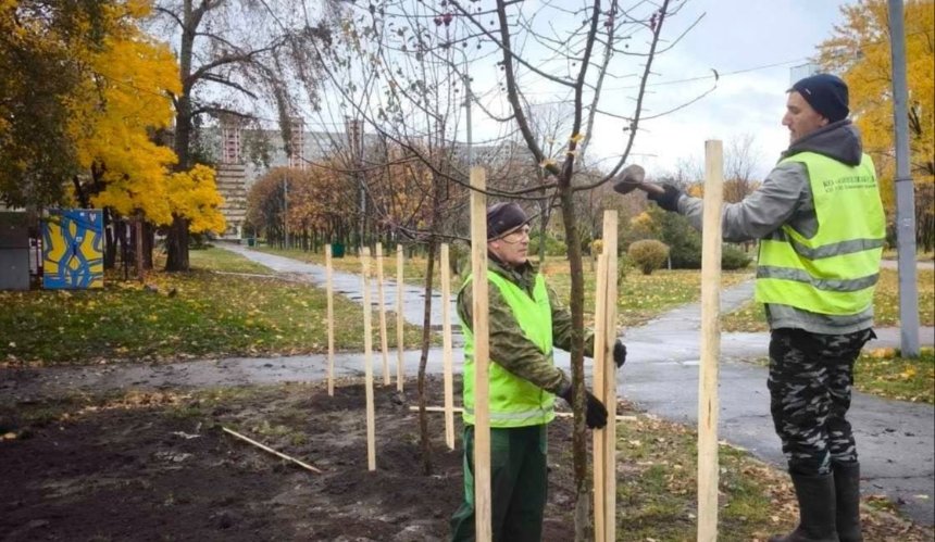 Київ продовжує осіннє озеленення: нові декоративні яблуні висадили у двох районах