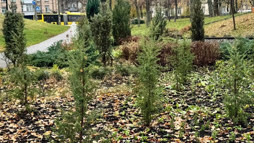 У Куренівському парку висаджують багаторічні квіти та злаки У Куренівському парку висаджують багаторічні квіти та злаки