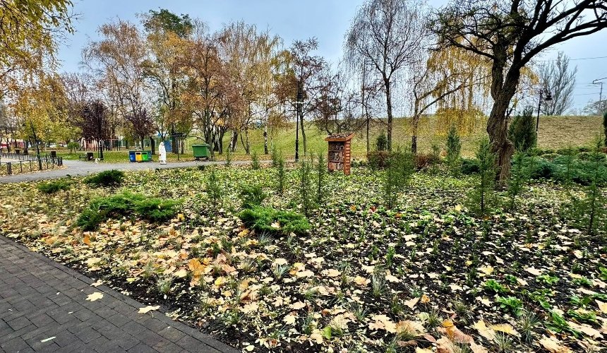 У Куренівському парку висаджують багаторічні квіти та злаки: як вони виглядають