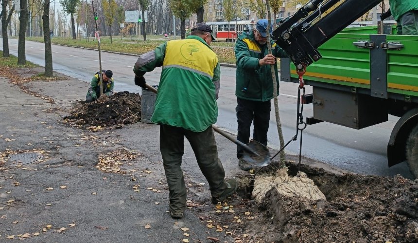 На бульварі Вацлава Гавела у Солом’янському районі висадили липи: фото