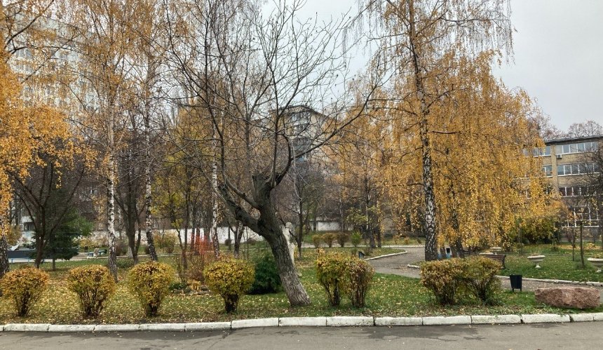 Прохолодно, дощі: якою буде погода у Києві наступного тижня