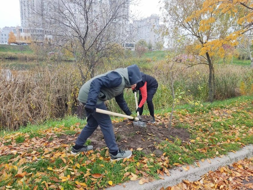 У парку "Позняки" висадили молоді верби