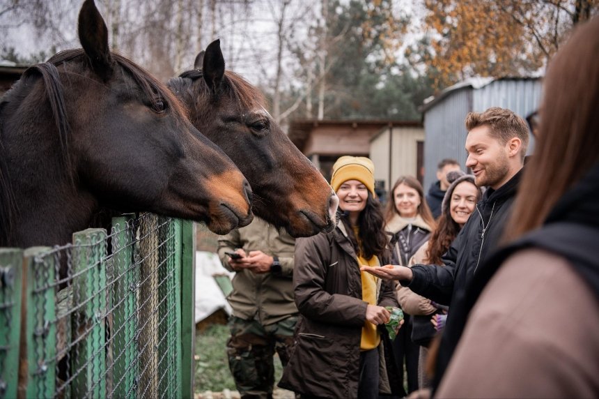 Коні у притулку Best Friends Коні у притулку Best Friends