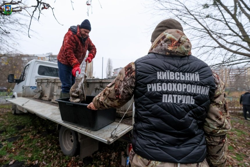 В озера у Бородянці випустили 1300 коропів та білих амурів