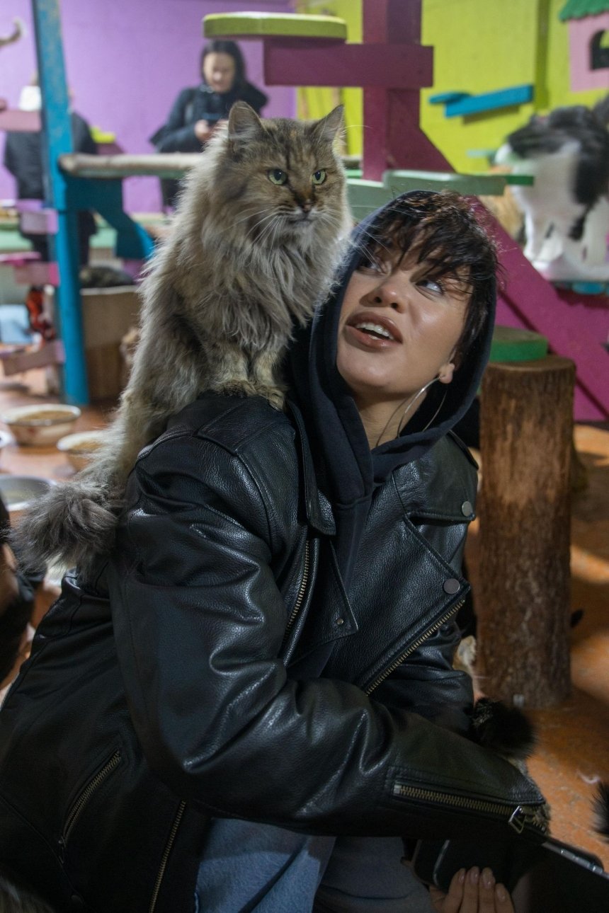 Lida Lee та котики в притулку Lida Lee та котики в притулку