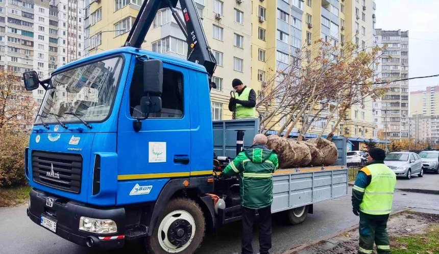 Нові клени та липи висадили у Солом’янському районі — "Київзеленбуд"
