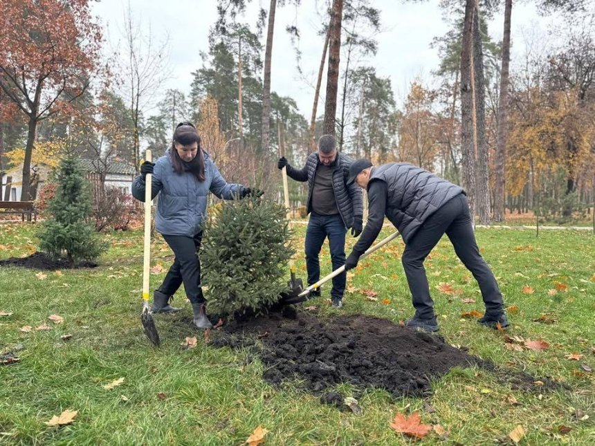 У парку Партизанської слави висадили 50 хвойних дерев У парку Партизанської слави висадили 50 хвойних дерев