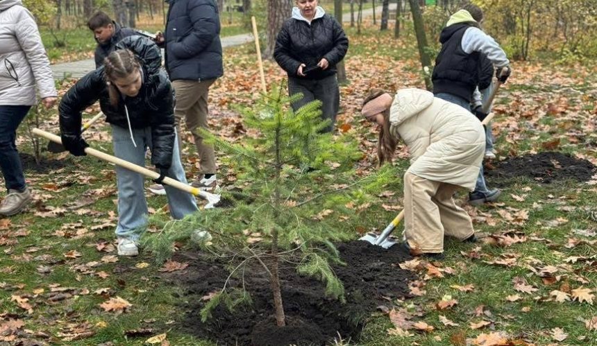 У парку Партизанської слави висадили 50 хвойних дерев: як вони виглядають