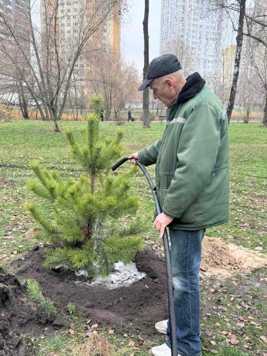 У Дніпровському районі висадили 48 нових сосен