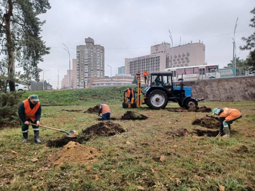 У Дніпровському районі висадили 48 нових сосен