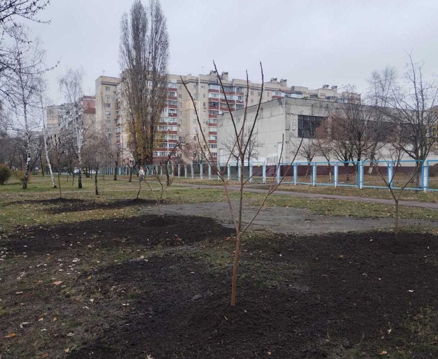 У Деснянському та Дніпровському районах висадили нові дерева