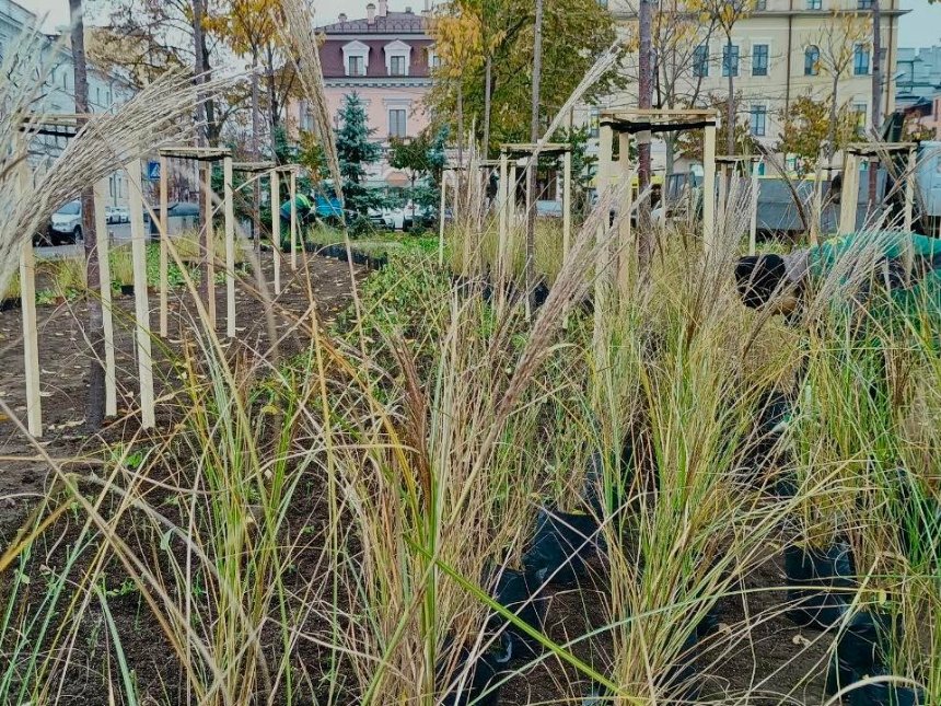 На Контрактовій площі оновили сквер