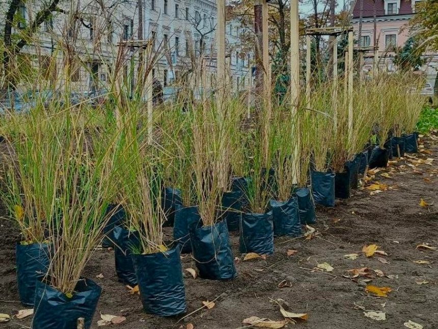 На Контрактовій площі оновили сквер