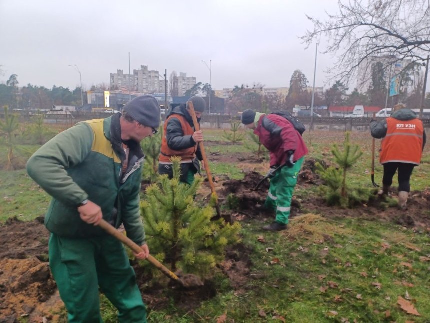 У парку Полуботка в Дніпровському районі висадили 30 сосен