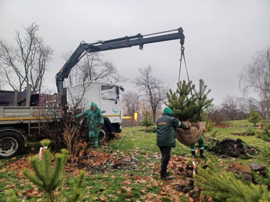 У парку Полуботка в Дніпровському районі висадили 30 сосен