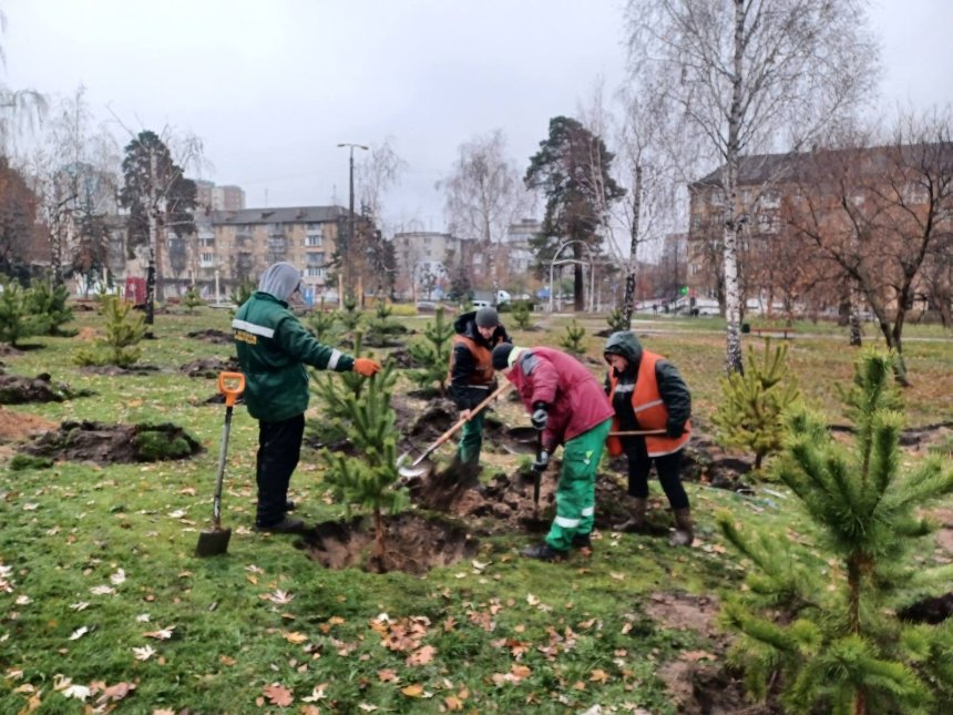 У парку Полуботка в Дніпровському районі висадили 30 сосен