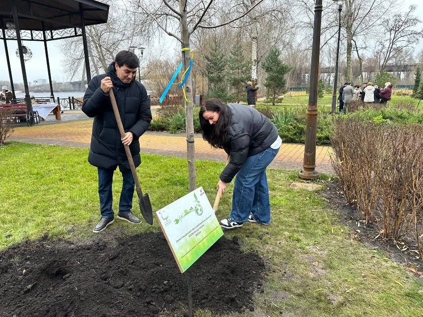Парк "Наталка" на Оболоні поповнився новими деревами