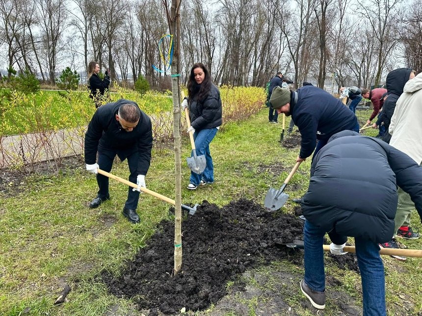 Парк "Наталка" на Оболоні поповнився новими деревами