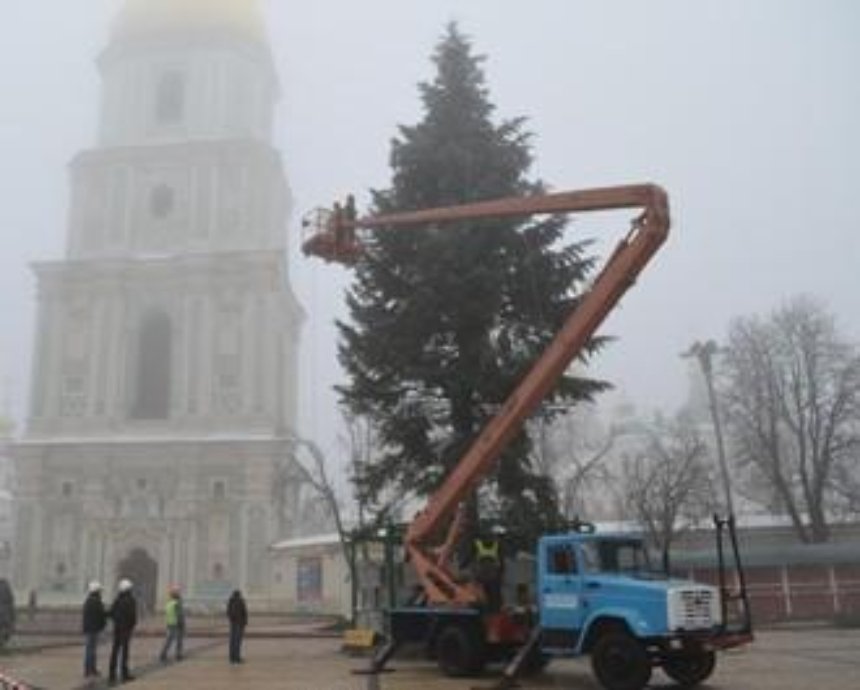 Новогоднюю елку в Киеве зажгут 19 декабря