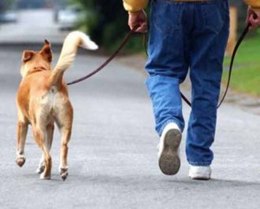 Мужчина с собакой помог милиции задержать преступников