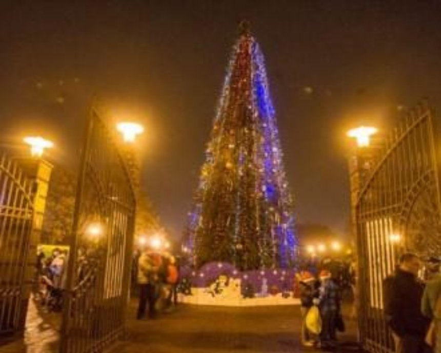 Все елки Киева: как выглядят главные новогодние деревья столицы (фото)
