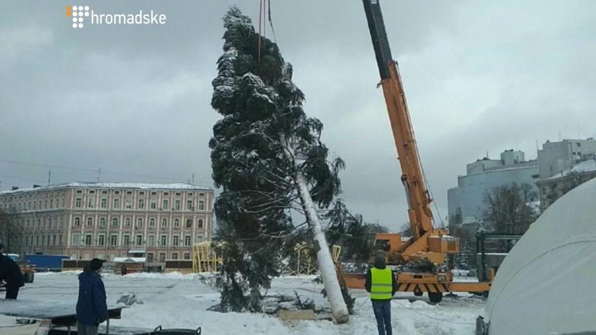 В ожидании праздника: на Софийской площади установили новогоднюю елку (фото)