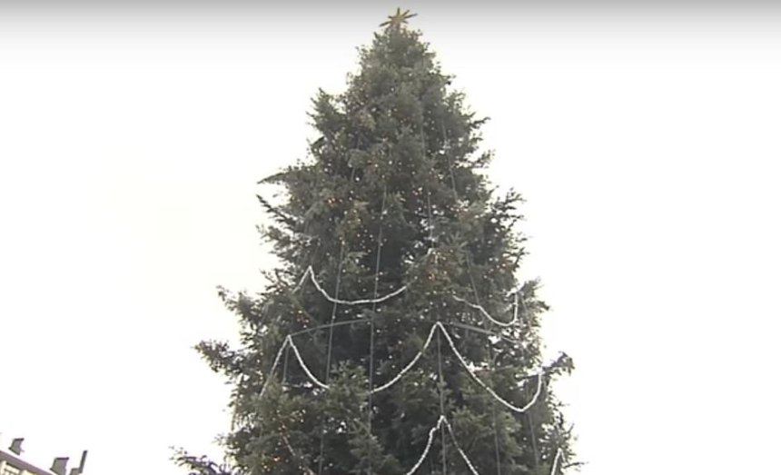 Рождественские огни: как выглядит подсветка главной елки на Софийской площади (видео)