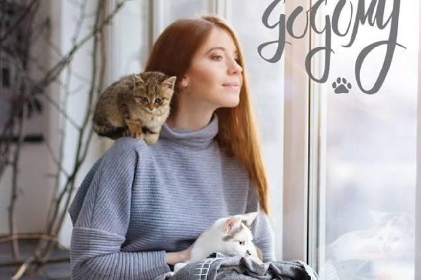 "Возьми котика домой": столичные волонтеры выпустили самый милый благотворительный календарь (фото)