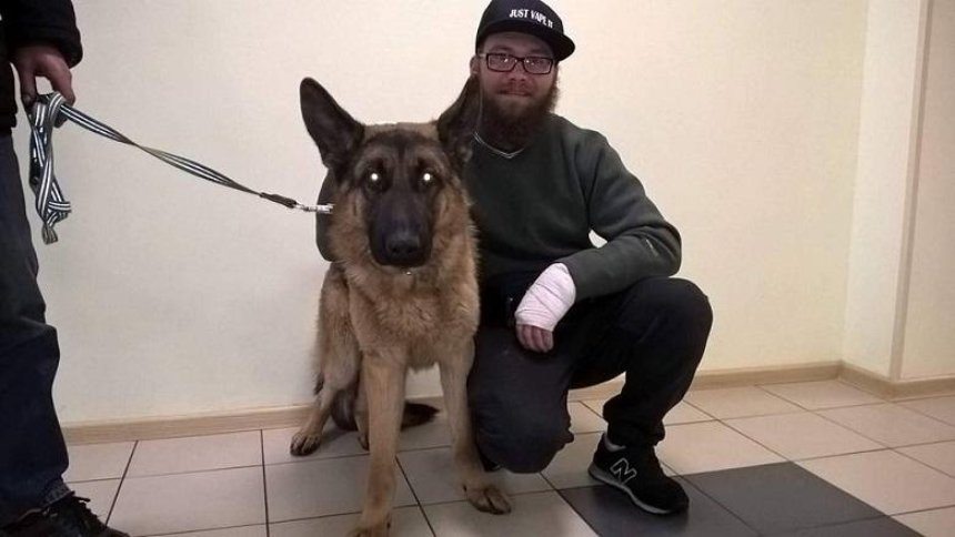 Киевлянин нашел собаку, которая сбежала из дому год назад (фото)