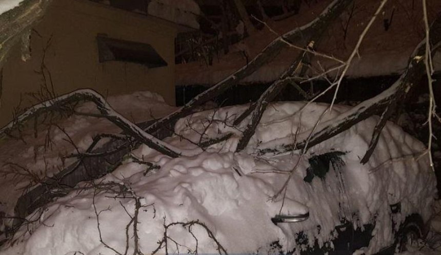 В Печерском районе дерево упало на автомобиль из-за непогоды (фото)