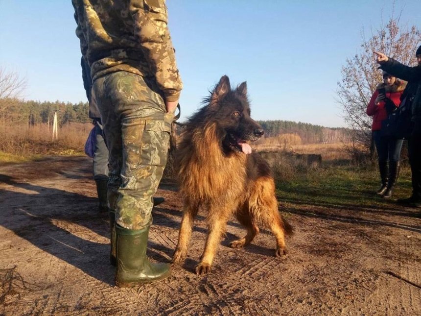 Искали с собаками: в Киеве нашли пропавшего в области подростка
